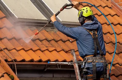 Démoussage et hydrofuge de toiture à Arandon-Passins